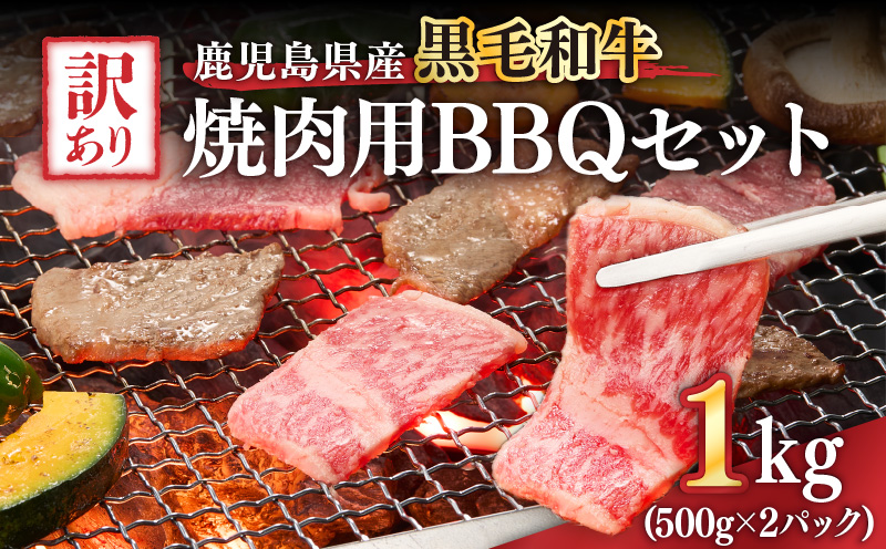2617 訳あり黒毛和牛 鹿児島県産焼肉用BBQセット 計1,000g（500g×2パック）　KN041-003-01