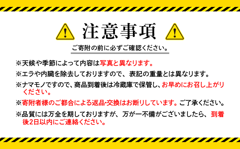 2530 鹿児島県産鮮魚詰合せセット（3〜4尾）　KN025-004-01