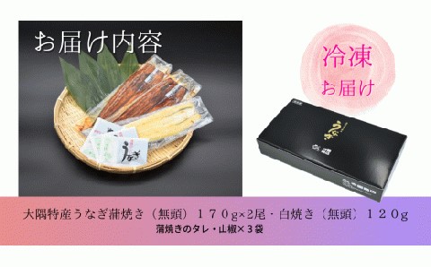 大隅特産うなぎ蒲焼２尾（340ｇ）・白焼１尾（120ｇ）食べ比べセット