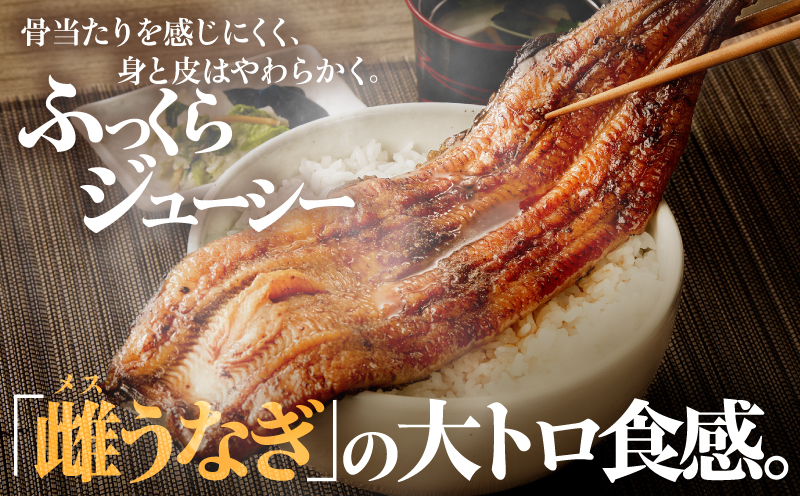 【訳あり（規格外）】プレミアム大トロ雌うなぎ蒲焼1尾（45尾サイズ：210〜235g）　KN040-022