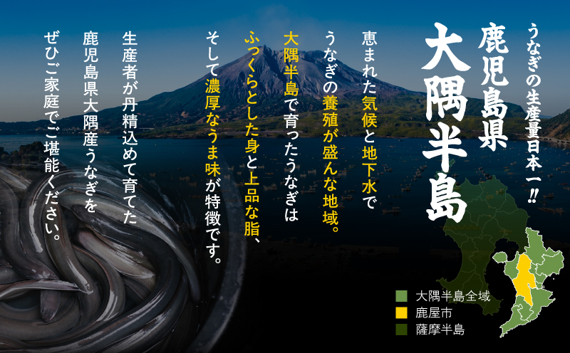 1387 大隅特産うなぎ蒲焼3尾（510g）　KN060-001-03