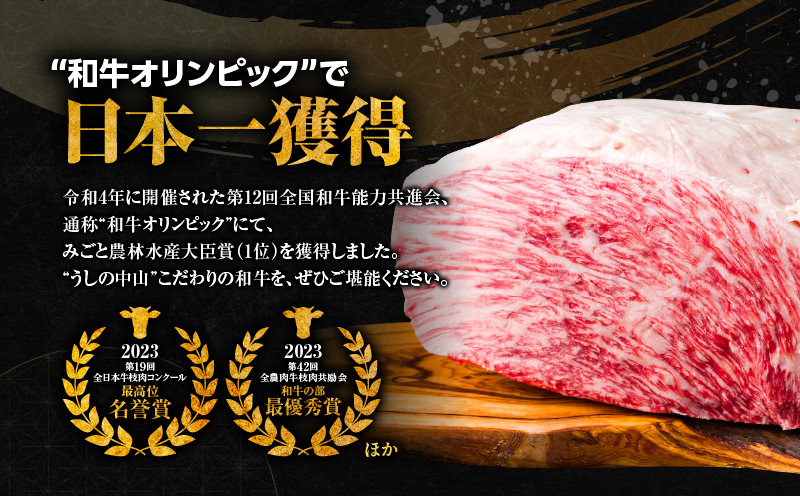 2538 【ナカヤマさんちのお肉】牛すじ煮込み専門肉 計400g（400g×1袋）　KN050-034