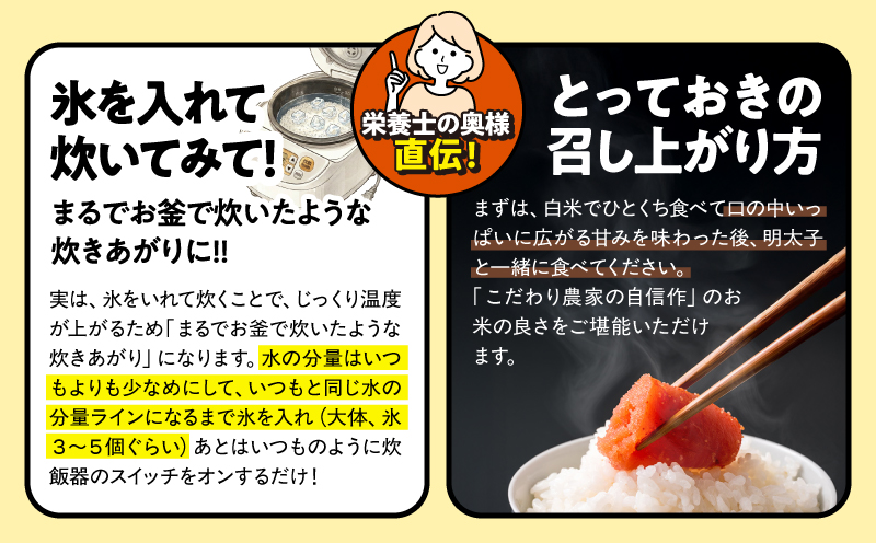 2294-2 縲仙ィ12蝗槫ョ壽悄萓ソ縲代%縺繧上j霎イ螳カ縺ョ閾ェ菫。菴懶シ鮖ソ螻句クるォ倬嚠逕」縲後イ縺ョ縺イ縺九j縲 險60kg縲KN069-T05縲舌ワ繝槭ム蝠莠区怏髯蝉シ夂、セ縲
