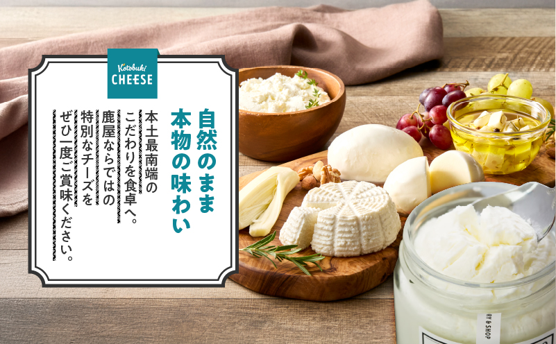 1128 ãã¬ãã·ã¥ããŒãº6çš®/ã®ãªã·ã£ãšãŒã°ã«ãã»ãããKN087-002