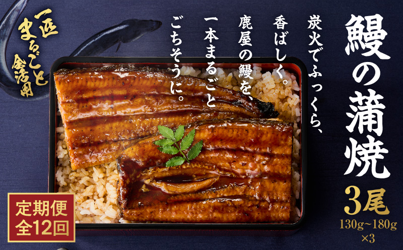 【全12回定期便】鰻の蒲焼 3尾（130g〜180g×3）　KN026-T07【株式会社オキス】