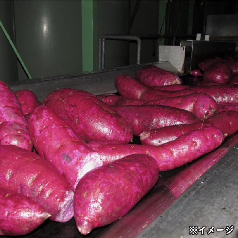 鹿児島産「綾紫芋」と温泉水でつくった芋焼酎『赤財宝』一升瓶2本　KN021-040