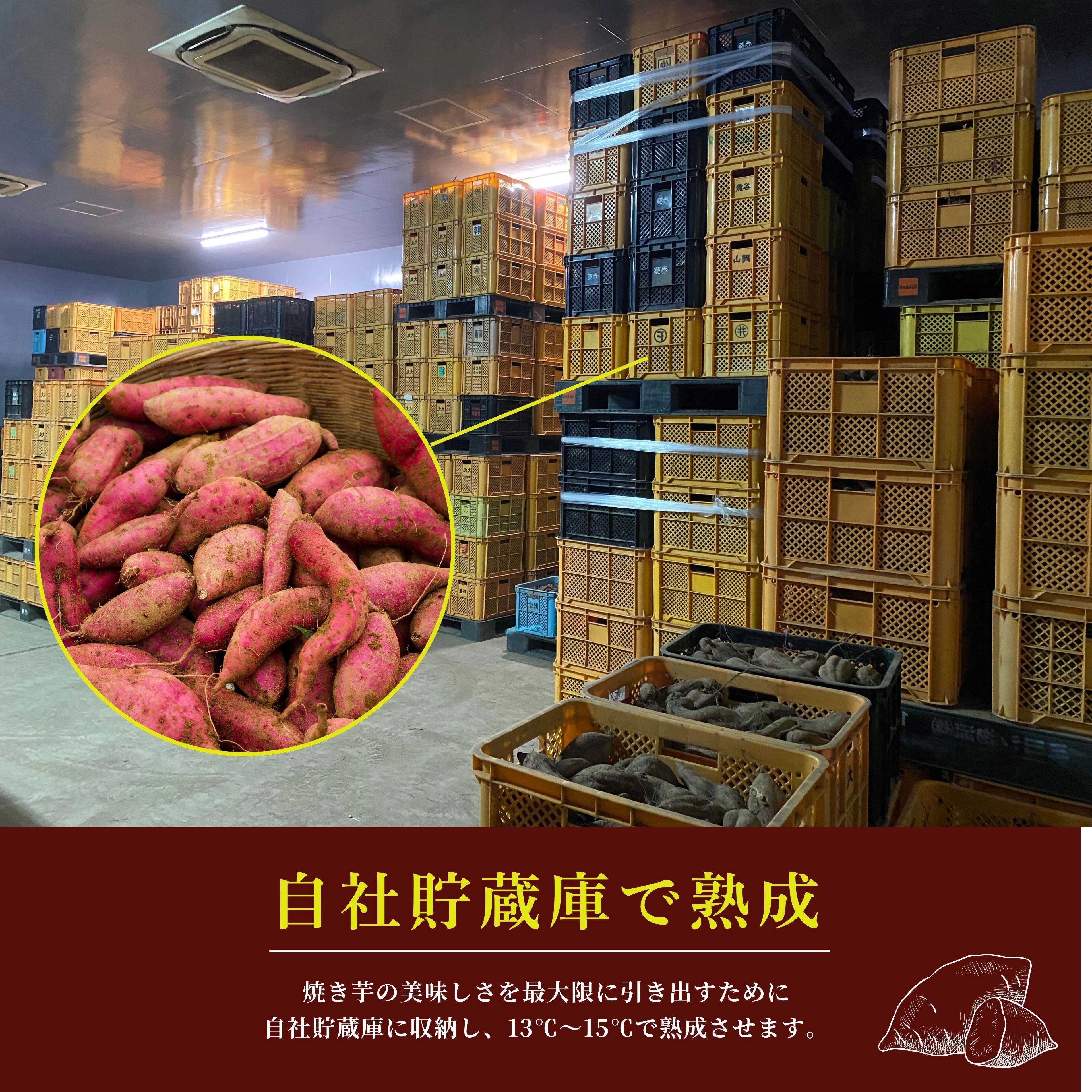 2683 【訳あり】 濃密 鹿児島県産 焼き芋 500g　KN097-003-01