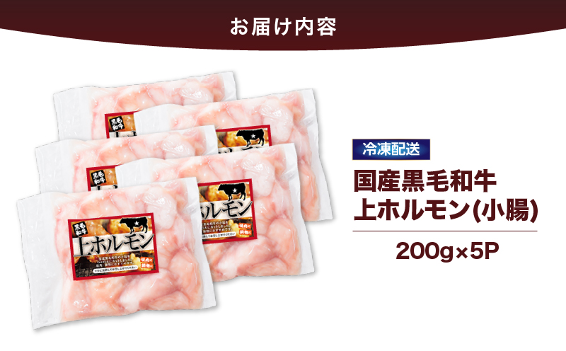 2631 国産黒毛和牛上ホルモン（小腸） 1kg　KN101-001-02