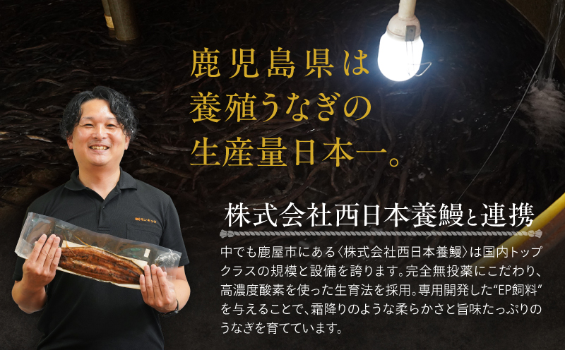 ã¯ã©ãŠããã¡ã³ãã£ã³ã°ã§å¿æŽïŒãå
š12åå®æäŸ¿ãé°»ã®è²çŒ 4å°ŸïŒ170gÃ4ïŒãKN026-T08