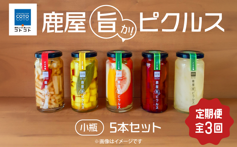 [10/1(木)より寄附金額改定予定]2184-2 [全3回定期便]鹿屋旨か!ピクルス小瓶5本セット KN072-T01[COTOCOTO]