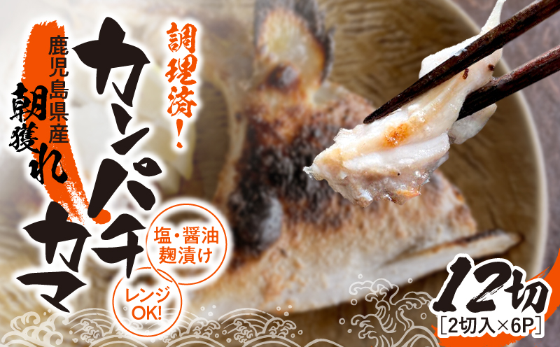 調理済み！カンパチカマ塩・醤油麹（こうじ）漬け 12切（焼タイプ）　KN037-002-04