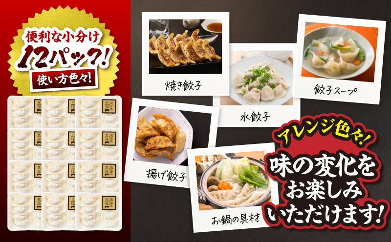 1289-1 鹿児島黒豚 餃子 1.6kg＜96個＞ 豚肉 黒豚 おかず 小分け アレンジ 贈答 鹿児島 鹿屋 こだわり　KN054-004