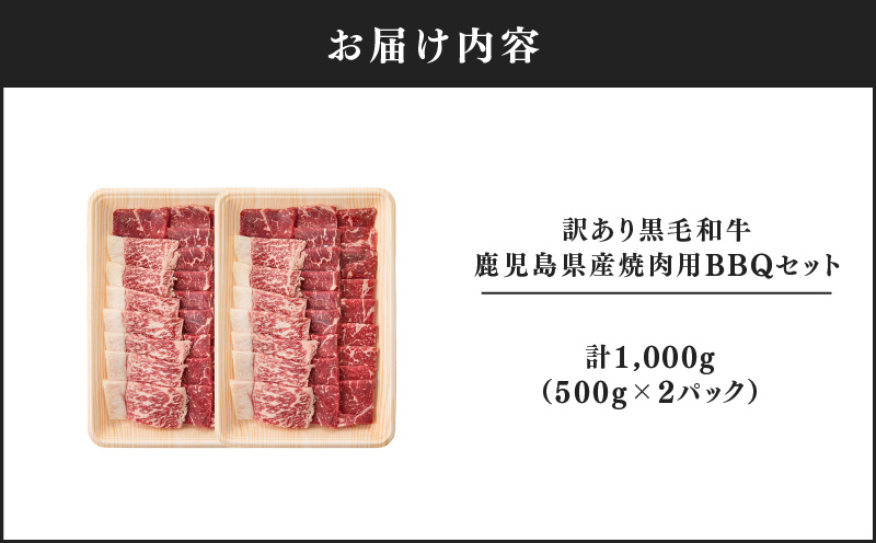 2617 訳あり黒毛和牛 鹿児島県産焼肉用BBQセット 計1,000g（500g×2パック）　KN041-003-01