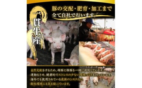 鹿屋産 さかし豚 ３種盛り3.3kg Ａ