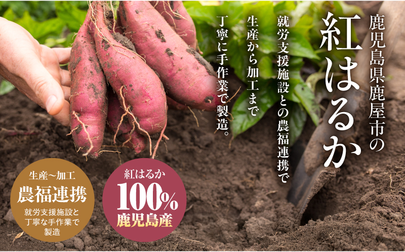 2844 ãã®ãçŽ
ã¯ããããŒã¹ãïŒãã€ãŸèïŒ 500gãKN109-001-01