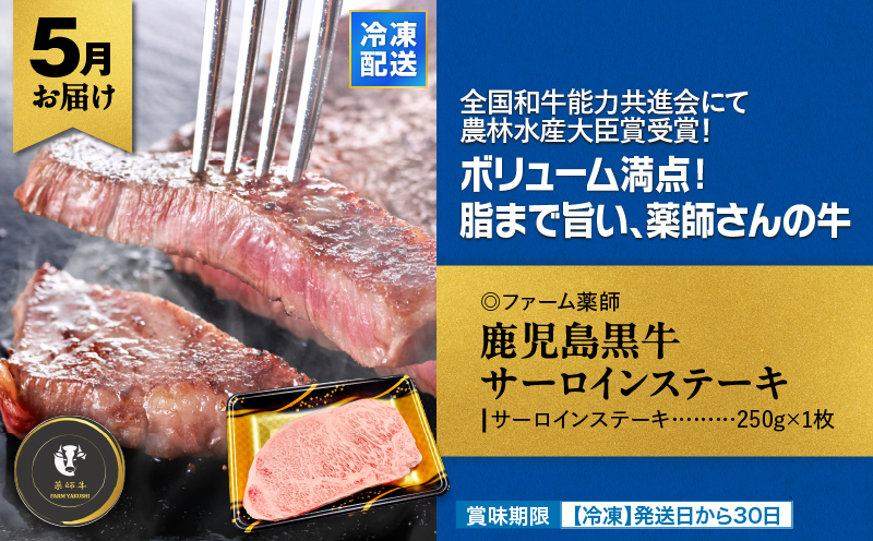縲仙ィ6蝗槭鷹ケソ螻九き繝ウ繧ッ繝ュ繧ヲ萓ソ縲KN000-T09