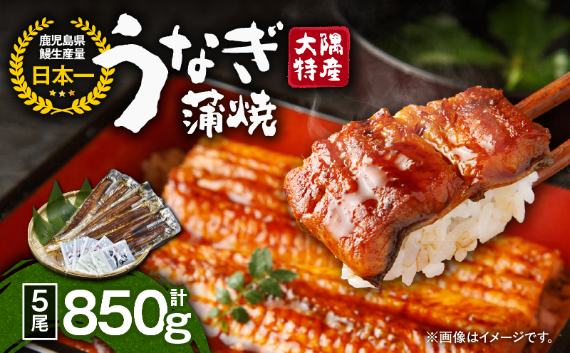 1389 大隅特産うなぎ蒲焼5尾（850g）　KN060-001-04