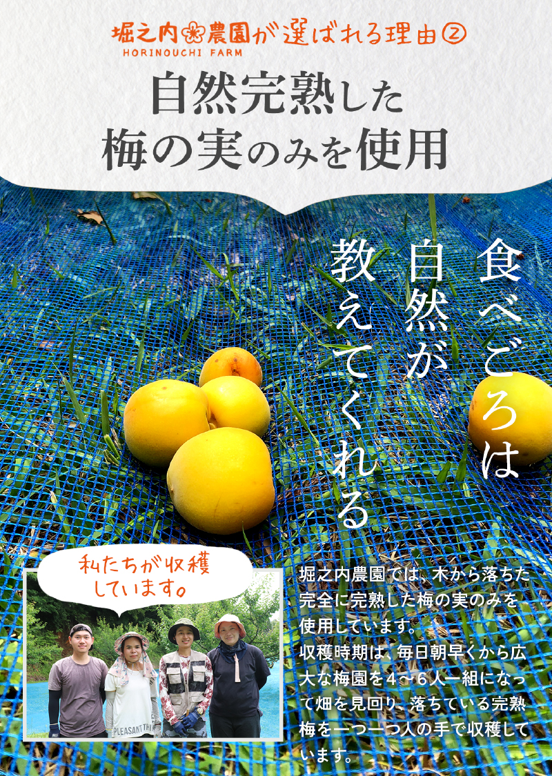 2588 ＜訳あり＞ つぶれ梅 梅干し かのや南高梅 食べ比べ F （はちみつ梅×5、しそ梅×2、レモン風味×2） 計9袋 ×300g （計2.7kg）　KN033-007-03