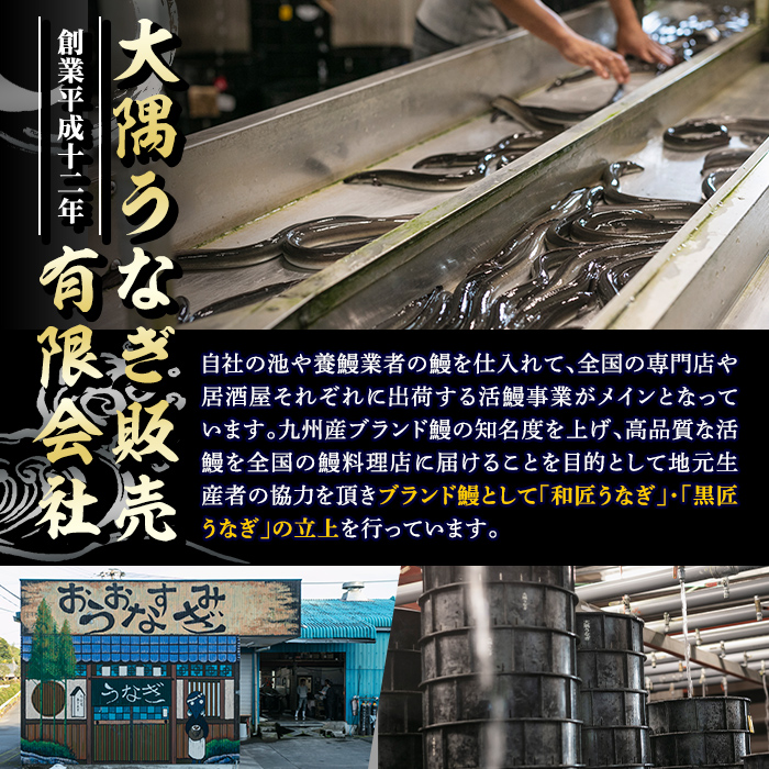 【土用の丑の日予約】うなぎ問屋の 備長炭手焼 うなぎ蒲焼2尾（300g）【2025年6月下旬以降順次発送】