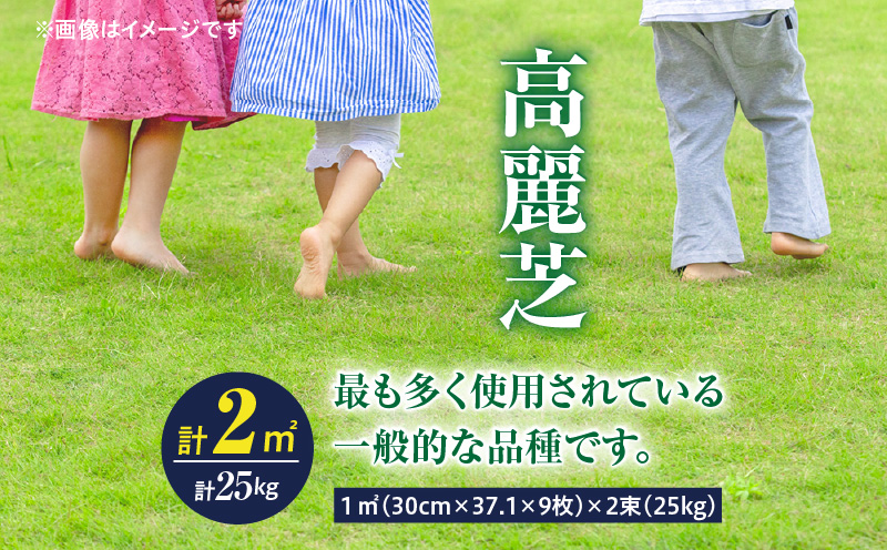 【10月から5月に発送】高麗芝（2平方メートル）　KN177-003-01