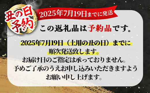 【土用の丑の日予約】鹿児島県大隅産うなぎ蒲焼４尾（600g）【2025年7月19日までに順次発送】