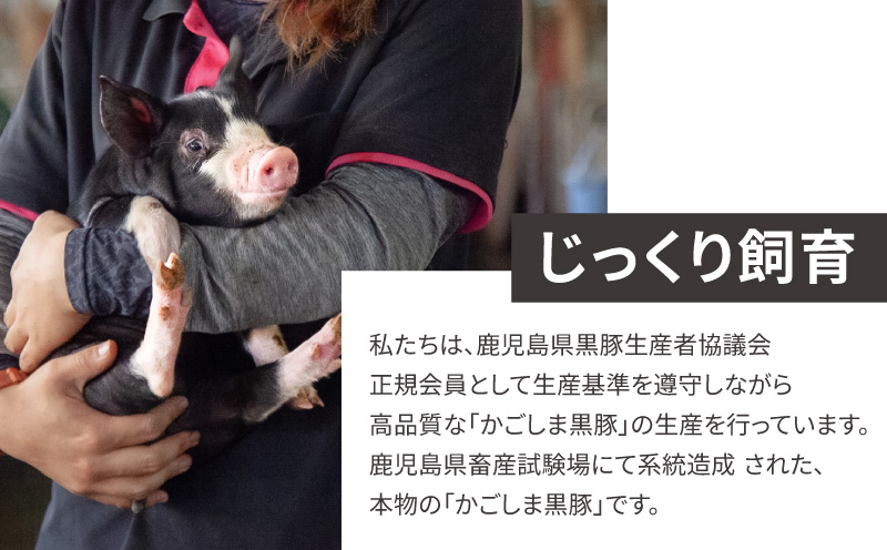 かごしま黒豚しゃぶしゃぶ 800g /贈答用箱入り　KN167-001