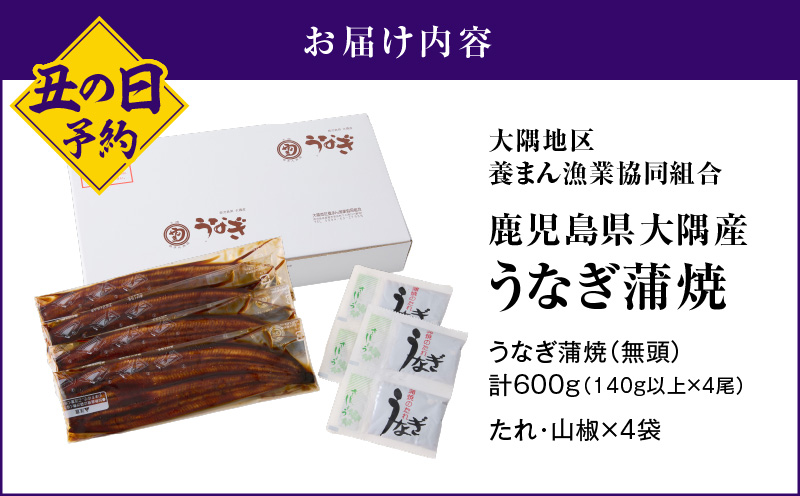 2869 【 2026年 土用の丑の日 先行予約 】 鹿児島県大隅産うなぎ蒲焼4尾（600g）　KN007-004-01b