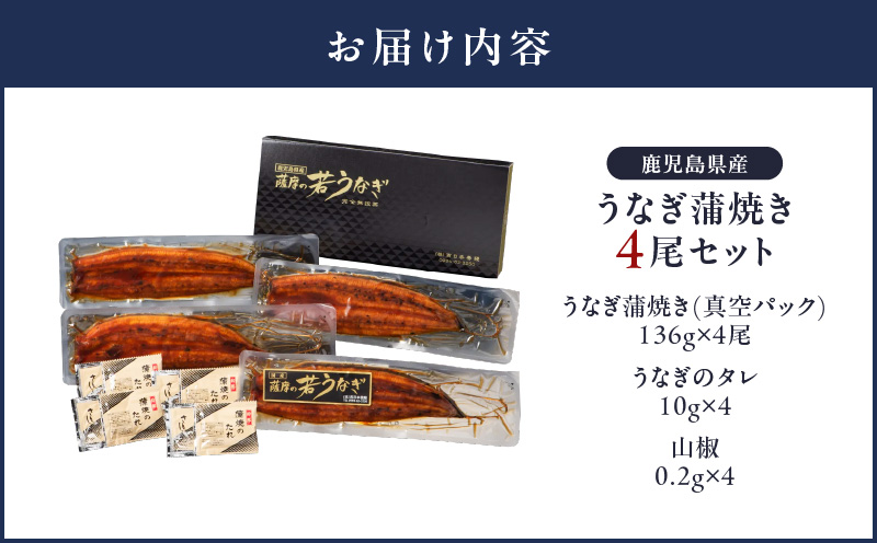 1652-1 鹿å
å³¶çç£ ããªãè²çŒã4å°Ÿã»ãããKN058-002-04