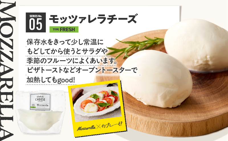 1128 ãã¬ãã·ã¥ããŒãº6çš®/ã®ãªã·ã£ãšãŒã°ã«ãã»ãããKN087-002