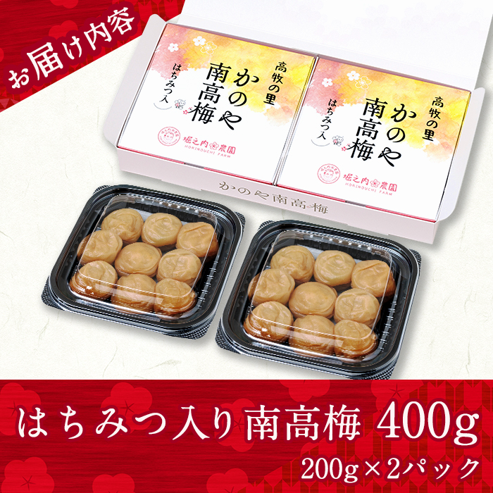 はちみつ入り南高梅　200g×2箱 【梅 うめ 梅干し うめぼし はちみつ 蜂蜜 ハチミツ 塩漬け 天然 自家製 小分け 南高梅】