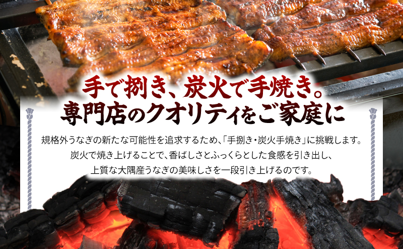 クラウドファンディングで応援！鰻の蒲焼 170g×1尾　KN026-020