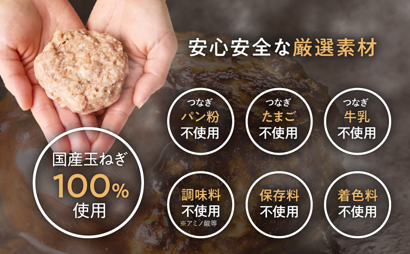 鹿児島県産黒豚生ハンバーグ 800g（80g×10個）　KN054-013