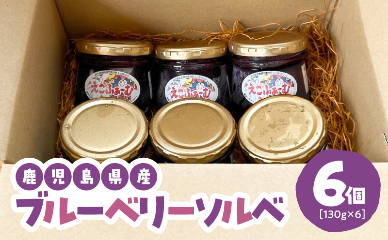2685 ブルーベリーソルベ（6個入り）　KN106-001