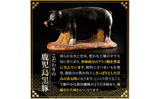 鹿児島黒豚特盛Aセット3kg+ギョウザ