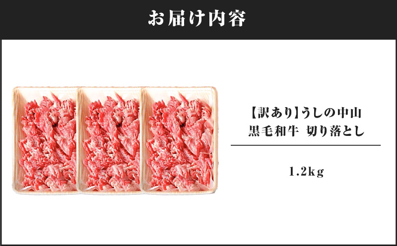 2872 【訳あり】うしの中山 黒毛和牛 切り落とし 1.2kg　KN050-030