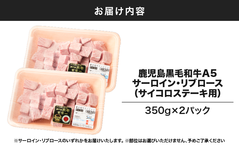 1418 鹿å
島黿¯åçA5ãµãŒãã€ã³ã»ãªãããŒã¹ïŒãµã€ã³ãã¹ããŒãçšïŒ700gãKN036-011