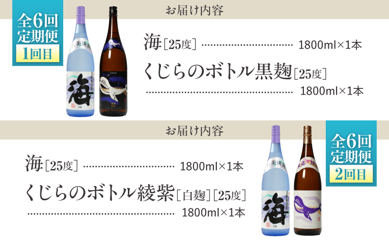 【全6回定期便】「海とその仲間たち」海が毎月届く　KN034-T02