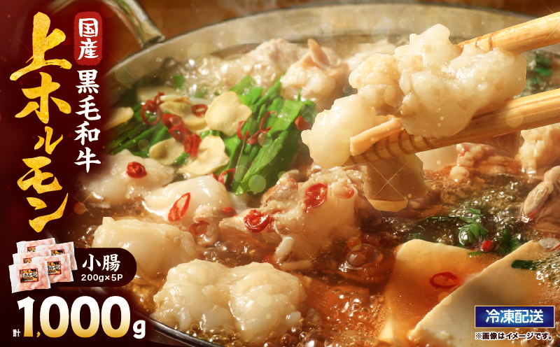 2631 国産黒毛和牛上ホルモン（小腸） 1kg　KN101-001-02