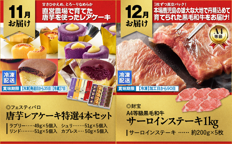 縲仙ィ12蝗槭鷹ケソ螻九き繝ウ繝代メ繝ュ繧ヲ萓ソ縲KN000-T08