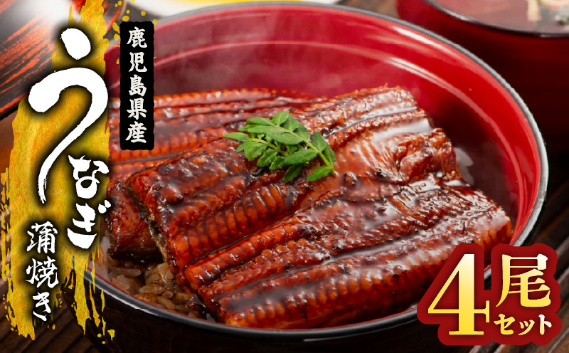 1652-1 鹿児島県産 うなぎ蒲焼き4尾セット　KN058-002-04