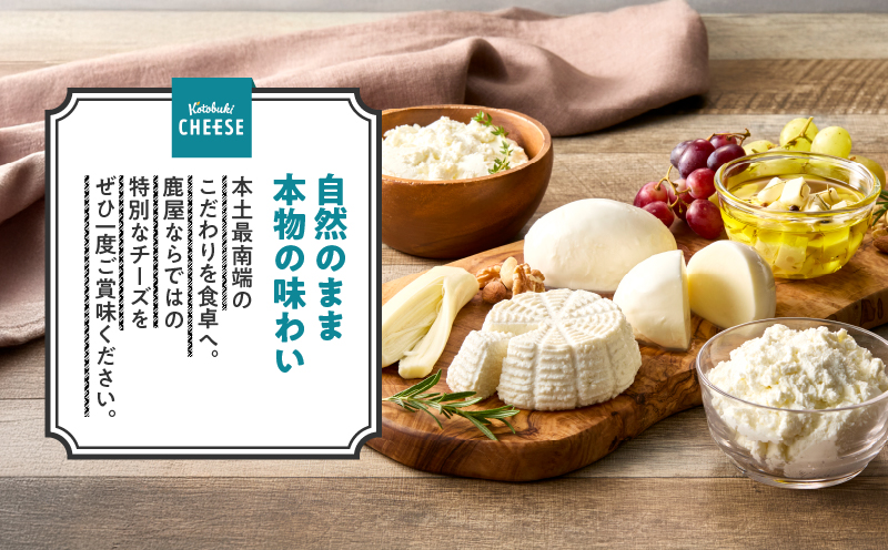 901-1 ããã¥ã©ã«ããŒãºã»ãããKN087-001