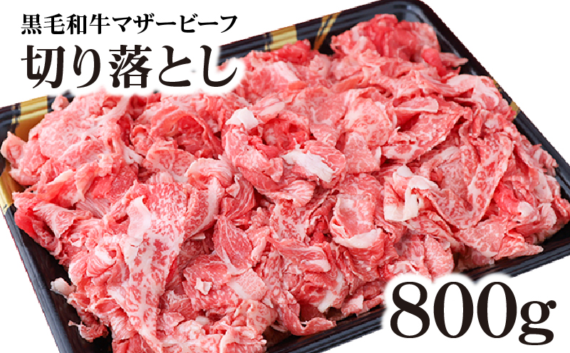 1163 鹿児島平松牧場黒毛和牛マザービーフ 切り落とし　KN020-001