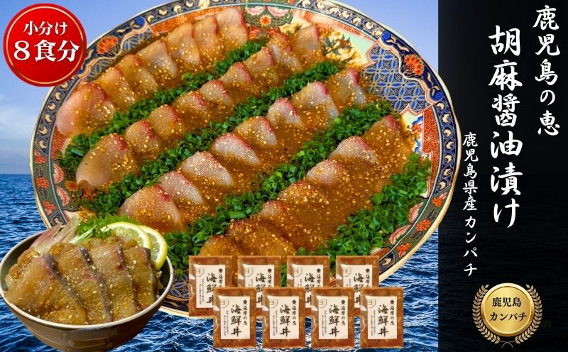 鹿屋市産 かんぱち 胡麻醤油漬け 海鮮丼セット 8食分　KN097-005-03