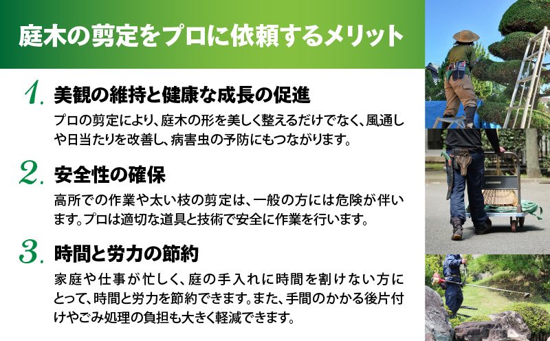 繝励Ο縺ォ繧医kシ√♀蠎ュ縺ョ邯ュ謖∫ョ。逅縲KN177-001