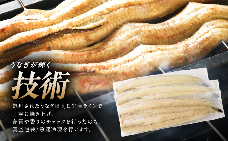 1468 鮖ソ蜈仙ウカ逵悟、ァ髫逕」縺縺ェ縺守區辟シ3蟆セシ360gシ峨KN007-009-01