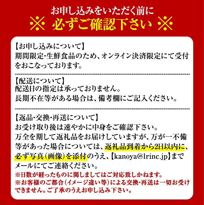 【数量限定】鹿児島県産いちご「さがほのか」8〜15粒×2箱　ストロベリーハウス彩より直送