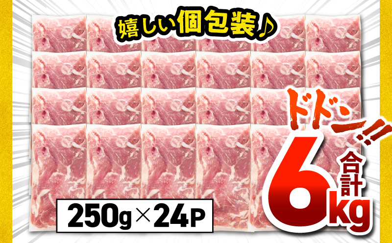 鹿児島県産豚肉切落し 6kg セット　KN165-008-02