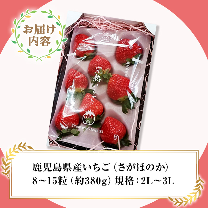 【数量限定】鹿児島県産いちご「さがほのか」8〜15粒　ストロベリーハウス彩より直送