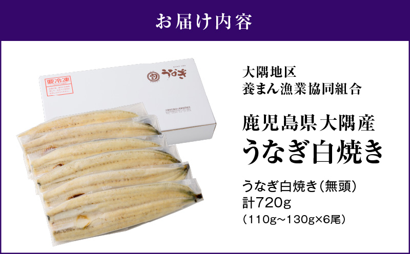 1961 鹿å
å³¶ç倧é
ç£ããªãçœçŒ6å°Ÿ èš720gãKN007-010