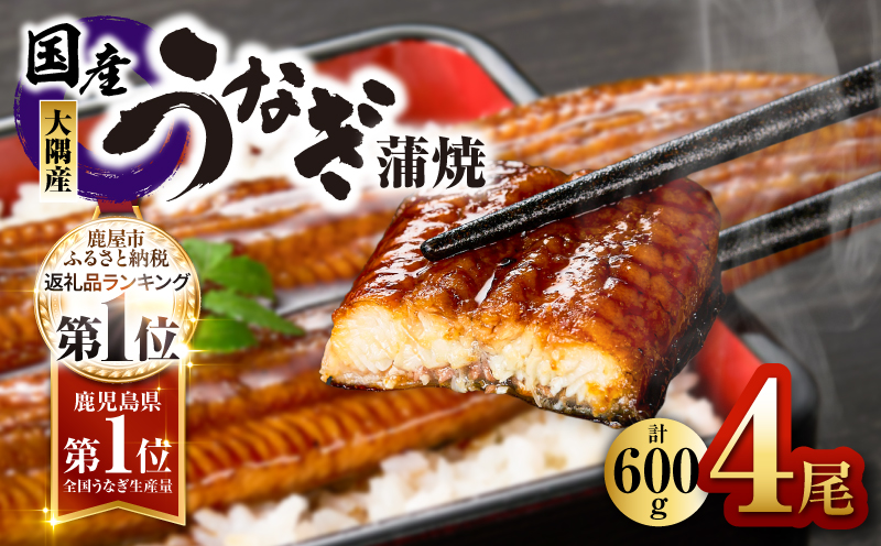 鹿児島県大隅産うなぎ蒲焼4尾（600g）　KN007-004-04